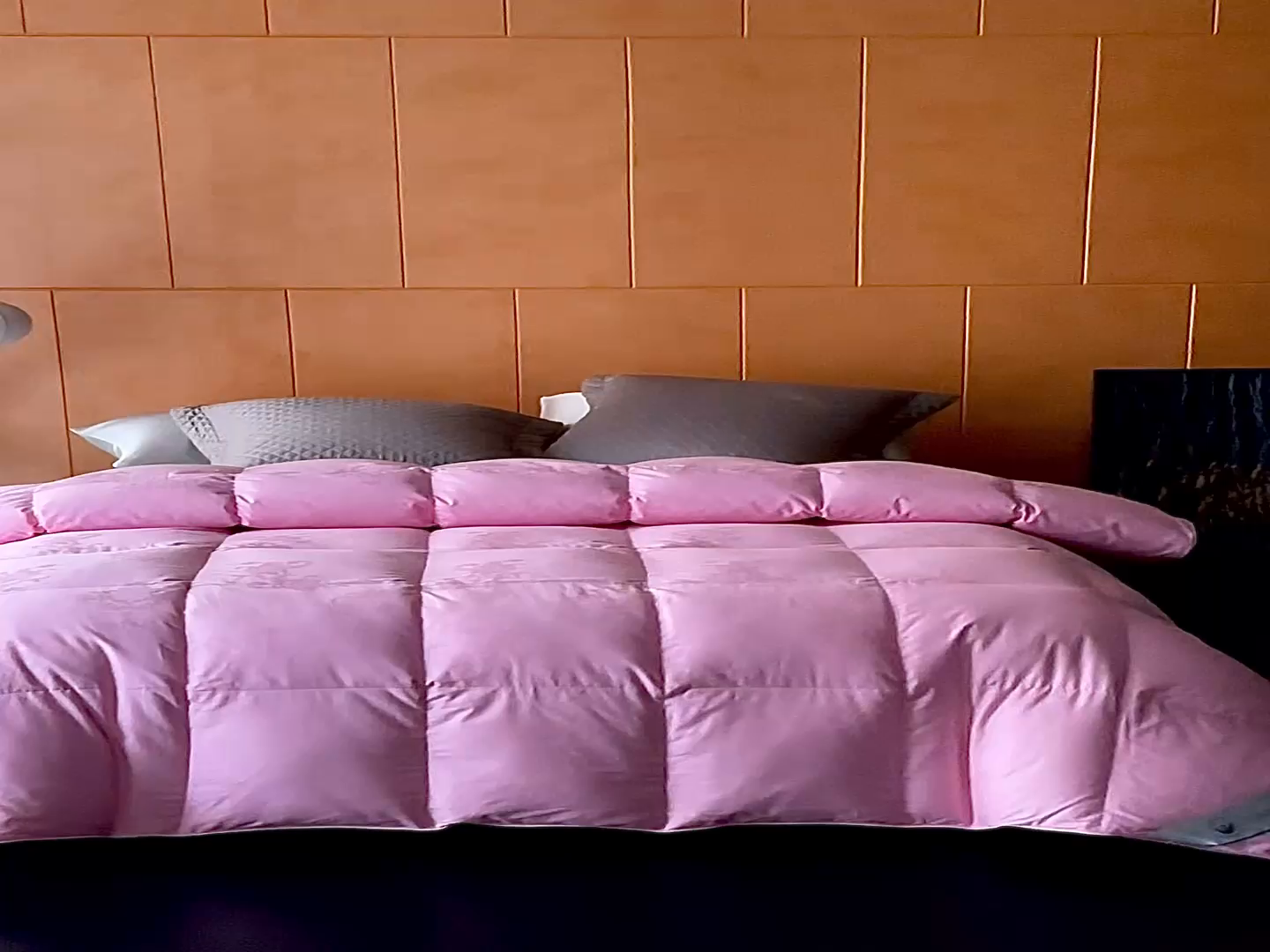 91家纺网 家纺一手货源 找家纺 暖羽屋羽绒馆 2025新款95白鸭绒被子绒子含量95 能过质检 白鸭绒被芯冬被羽绒被 F雅馨 粉色