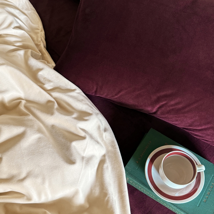 91家纺网 家纺一手货源 找家纺 例外 2025新款简约天鹅绒安可拉混搭四件套 奶茶+安可拉红