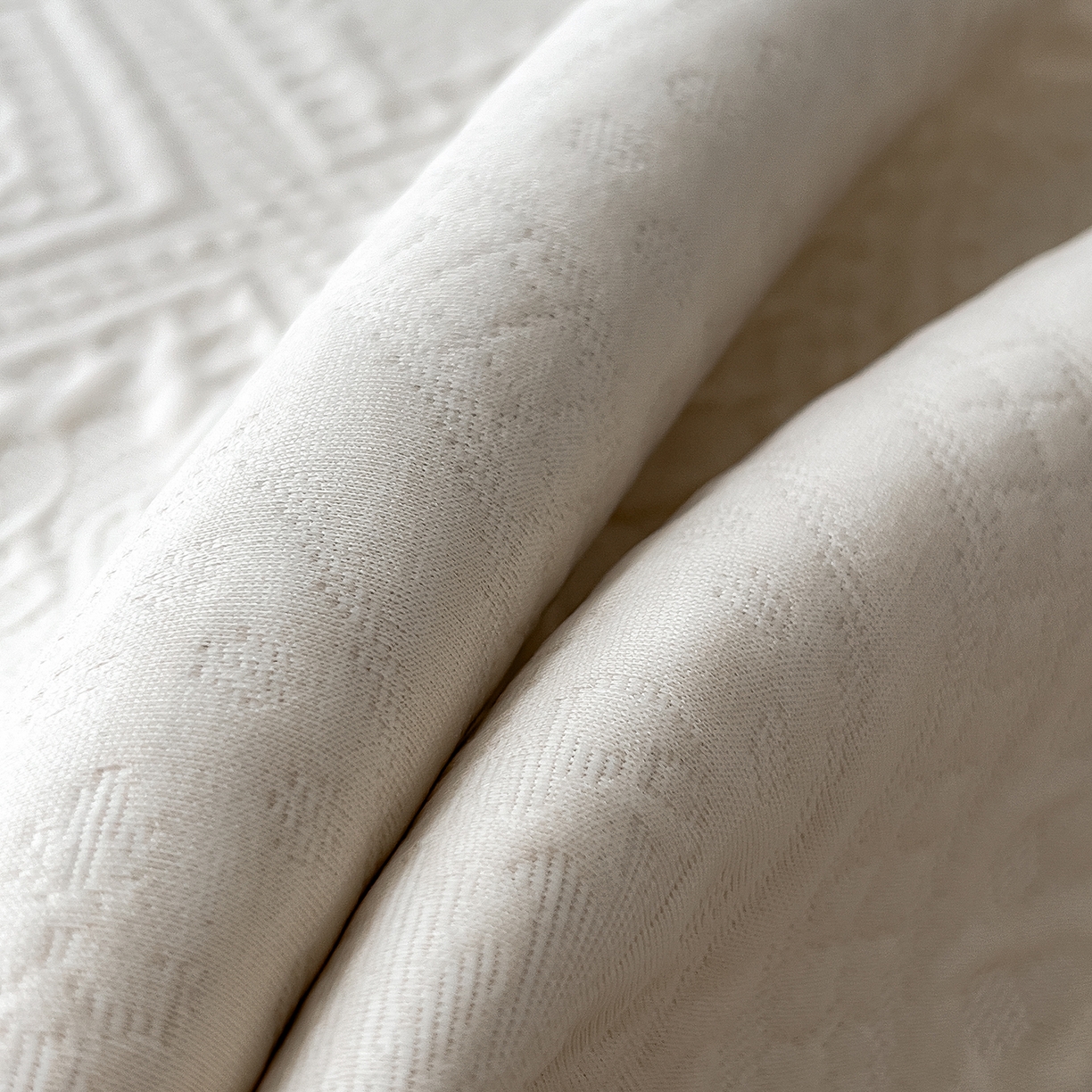 91家纺网 家纺一手货源 找家纺 宜派家纺 2025新款A类柔感彩绒棉夹棉床护垫-菱影蔓花 菱影蔓花-沙砾米