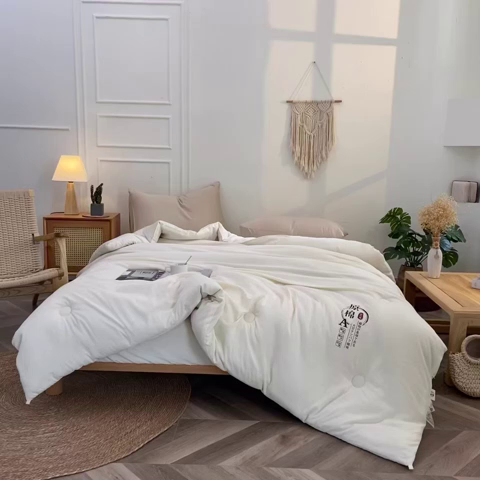 91家纺网 家纺一手货源 找家纺 （总）壹张床 2025新款A类针织棉原棉大豆被冬被子母被被芯子母扣系列 