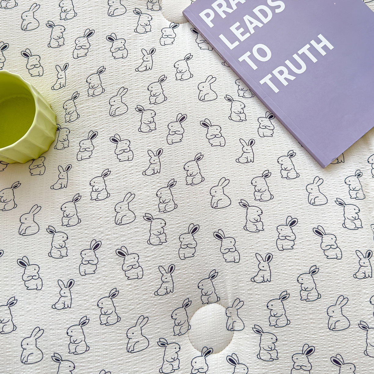 91家纺网 家纺一手货源 找家纺 芯恋家居 2025新款A类提花韩版花边豆豆冬被被子春秋被芯大豆被豆豆被 呆萌兔