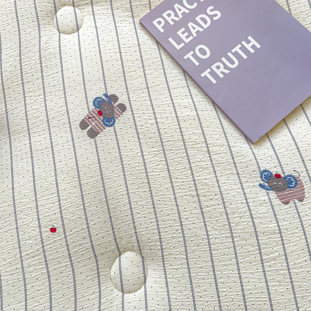 91家纺网 家纺一手货源 找家纺 芯恋家居 2025新款A类提花韩版花边豆豆冬被被子春秋被芯大豆被豆豆被 顽皮象