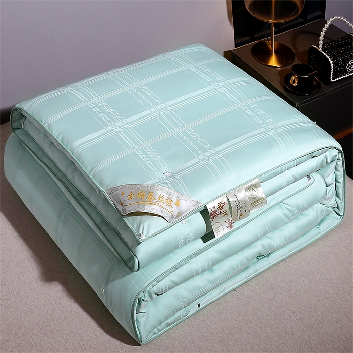 91家纺网 家纺一手货源 找家纺 （总）一博家纺2025新款全棉提花蚕丝被