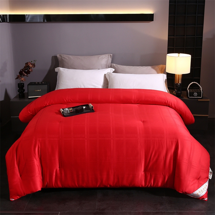 91家纺网 家纺一手货源 找家纺 （总）一博家纺2025新款全棉提花蚕丝被