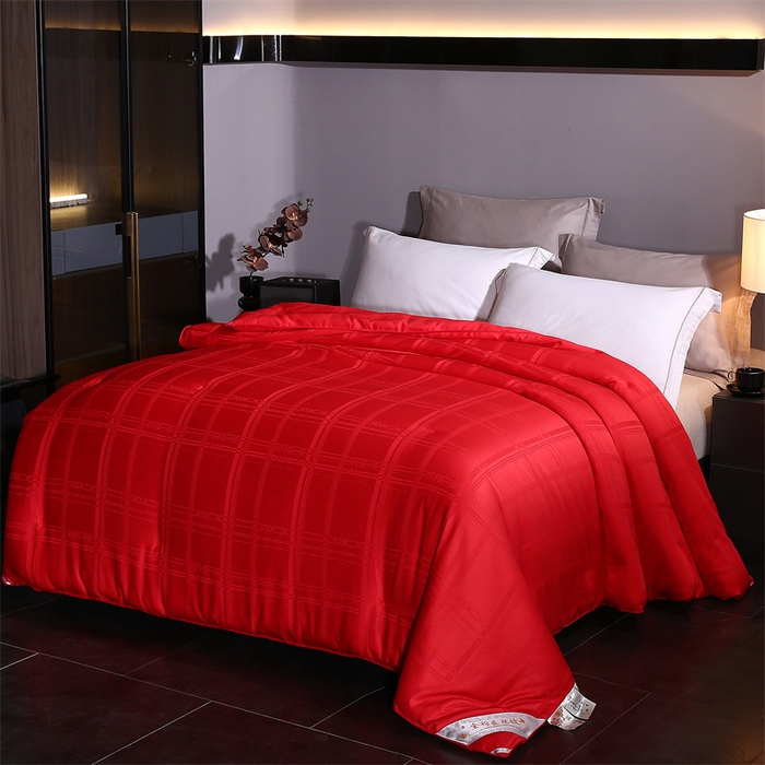 91家纺网 家纺一手货源 找家纺 （总）一博家纺2025新款全棉提花蚕丝被