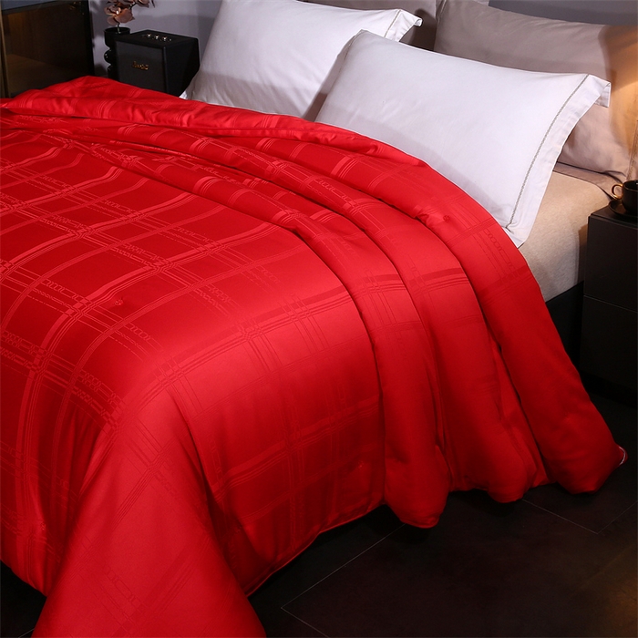 91家纺网 家纺一手货源 找家纺 （总）一博家纺2025新款全棉提花蚕丝被