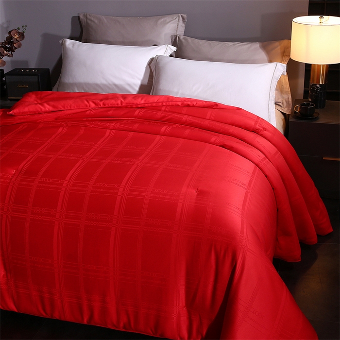 91家纺网 家纺一手货源 找家纺 （总）一博家纺2025新款全棉提花蚕丝被