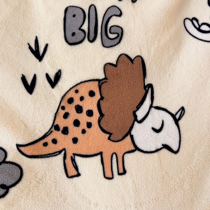 91家纺网 家纺一手货源 找家纺 富馨莱 2025新款牛奶绒印花单件被套240克面料支持一件定制尺寸 恐龙世界