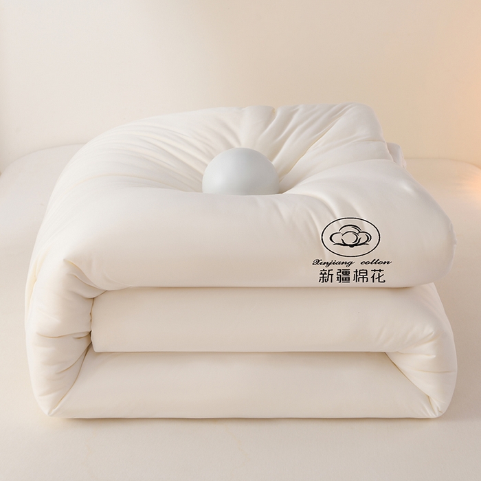 91家纺网 家纺一手货源 找家纺 （总）湘之帛  2025新款a类水洗棉全棉新疆棉花被子被芯冬被