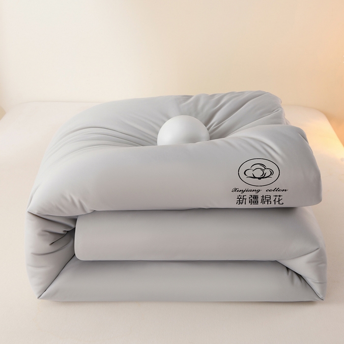 91家纺网 家纺一手货源 找家纺 湘之帛  2025新款a类水洗棉全棉新疆棉花被子被芯冬被 灰色