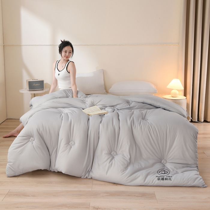 湘之帛  2025新款a类水洗棉全棉新疆棉花被子被芯冬被 灰色