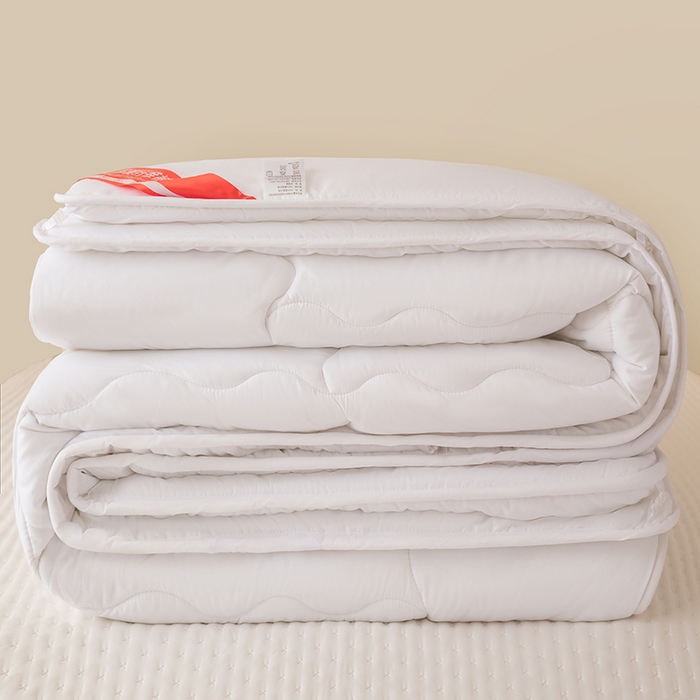 91家纺网 家纺一手货源 找家纺 天瑜家纺 2025新款磨毛冬被二合一子母被被子被芯 白色