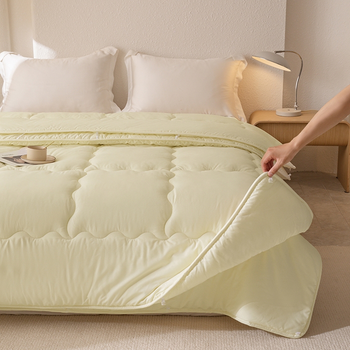 91家纺网 家纺一手货源 找家纺 天瑜家纺 2025新款磨毛冬被二合一子母被被子被芯 米黄色