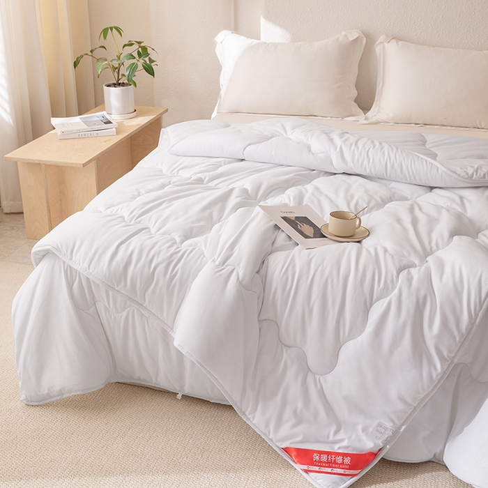 91家纺网 家纺一手货源 找家纺 天瑜家纺 2025新款磨毛冬被二合一子母被被子被芯 白色