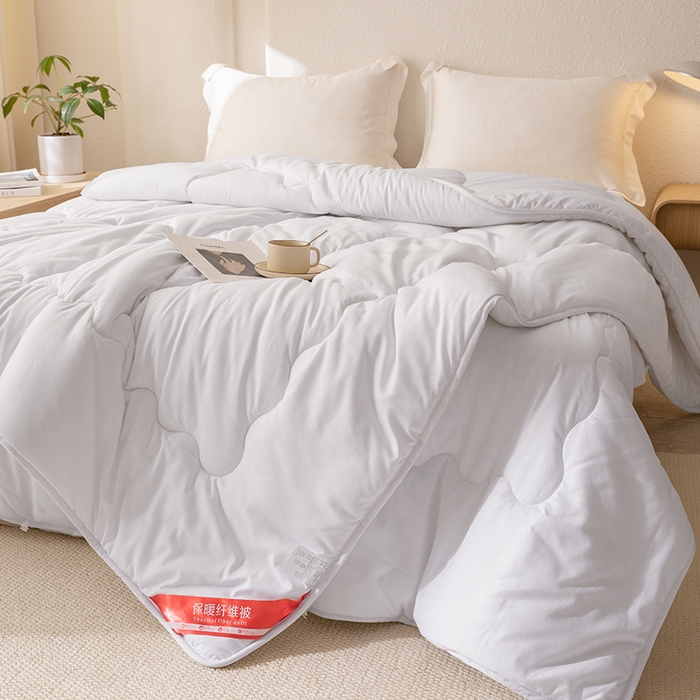91家纺网 家纺一手货源 找家纺 天瑜家纺 2025新款磨毛冬被二合一子母被被子被芯 白色