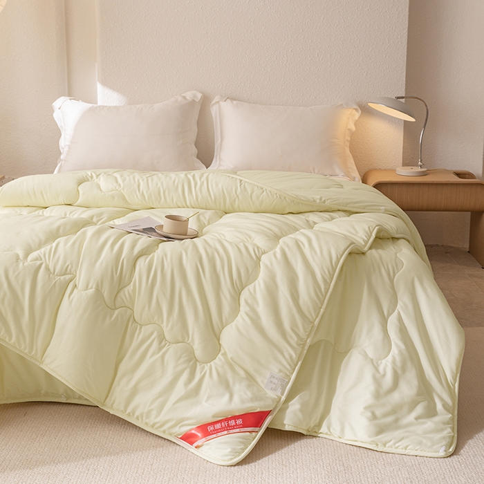 91家纺网 家纺一手货源 找家纺 天瑜家纺 2025新款磨毛冬被二合一子母被被子被芯 米黄色