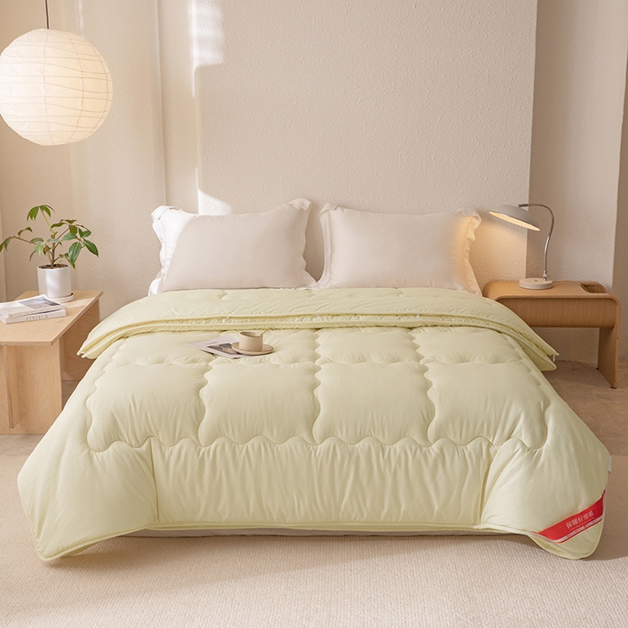 91家纺网 家纺一手货源 找家纺 天瑜家纺 2025新款磨毛冬被二合一子母被被子被芯 米黄色