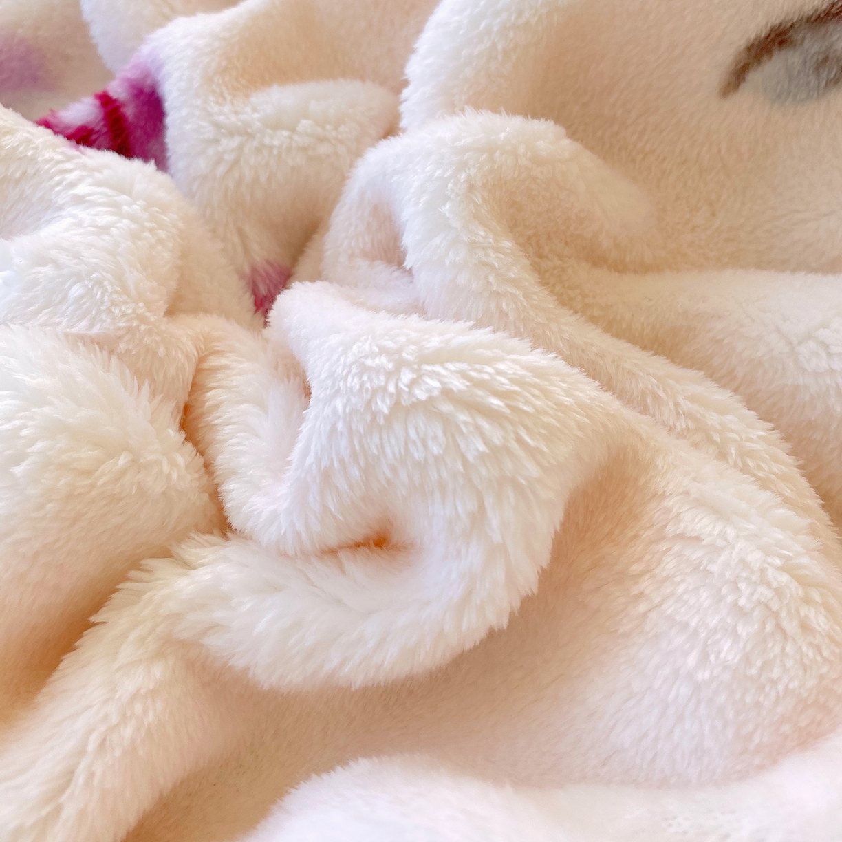 91家纺网 家纺一手货源 找家纺 爱彼家纺 2025秋冬新款高克重简约印花泡泡绒毯多功能毯毛毯毯子 玫瑰情缘