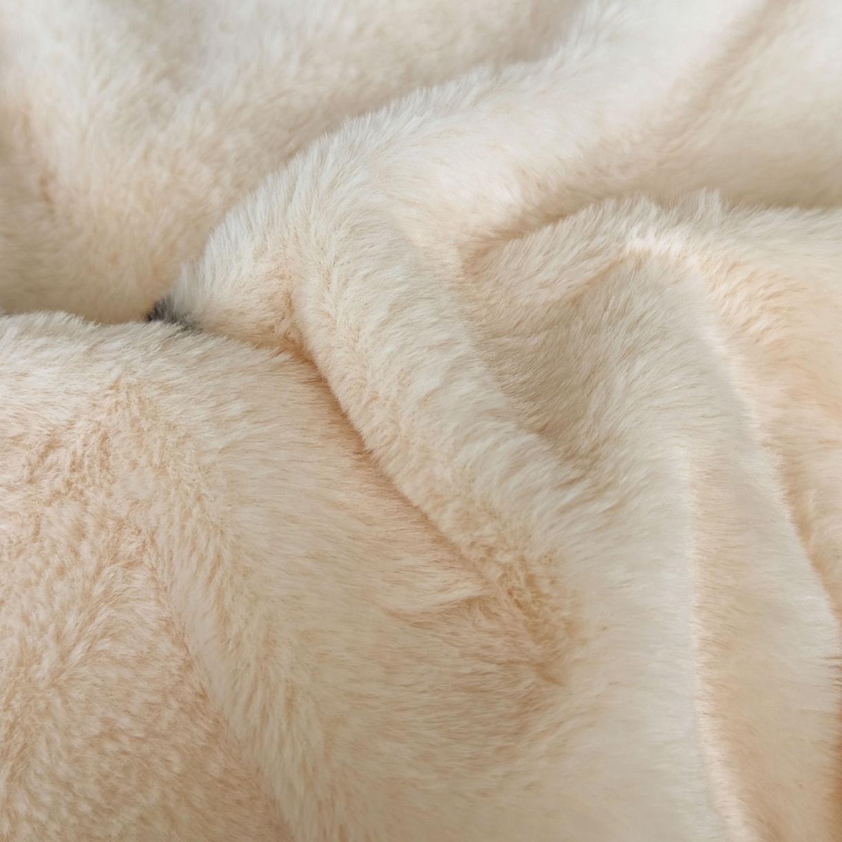 91家纺网 家纺一手货源 找家纺 璐维斯 2025 A类舒适兔毛绒印花四件套卡通花卉牛奶绒秋冬保暖床上用品单被套三件套 腊肠狗