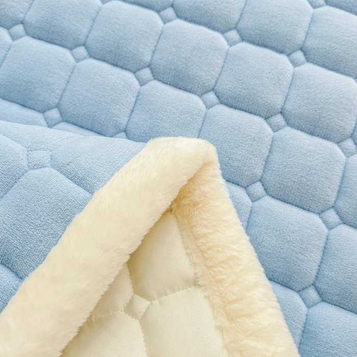 91家纺网 家纺一手货源 找家纺 （总）爱屋及屋 2025新款牛奶绒毛巾绣床垫软垫冬季加厚床褥垫子铺底床护垫【填充200g】