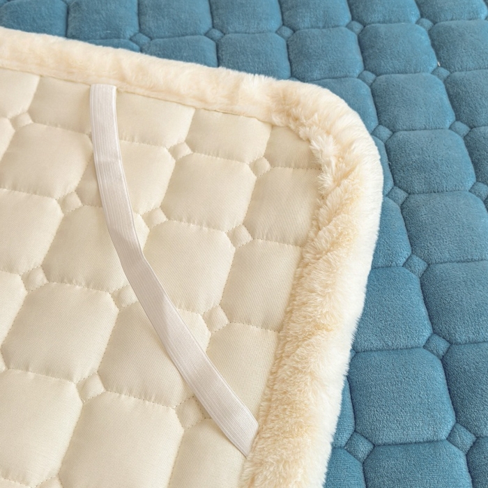 91家纺网 家纺一手货源 找家纺 爱屋及屋 2025新款牛奶绒小狗毛巾绣床垫-大床 luck狗-海蓝