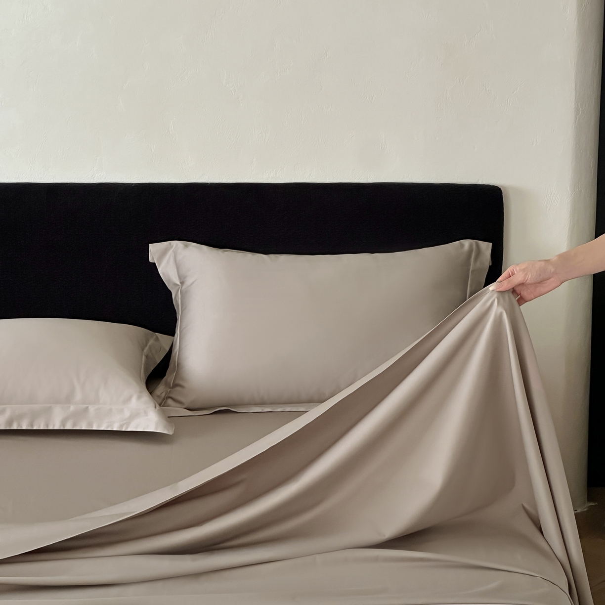 91家纺网 家纺一手货源 找家纺 三味舒屋 2025新款50s全棉纯棉纯色单床单床单单件-长期主义 长期主义-茶棕色