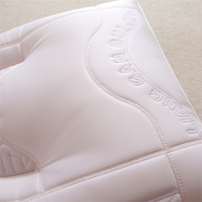 91家纺网 家纺一手货源 找家纺 （总）锦鲤枕芯 2025新款A类胶韵诗乳胶凉感丝枕芯冰丝乳胶枕头