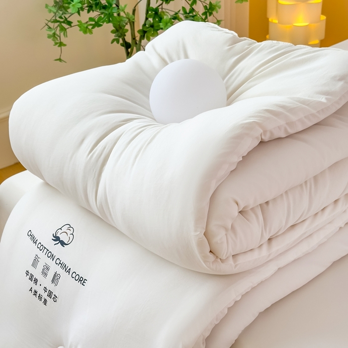 （总）承柔家纺 2025年新款纯色水洗棉棉花被冬被被子被芯