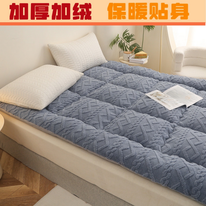 91家纺网 家纺一手货源 找家纺 （总）承柔家纺 2025年新款加厚塔芙绒床垫床褥垫子