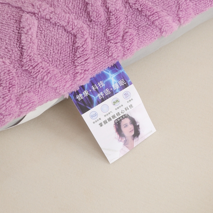 91家纺网 家纺一手货源 找家纺 承柔家纺 2025年新款加厚塔芙绒床垫床褥垫子 豆沙