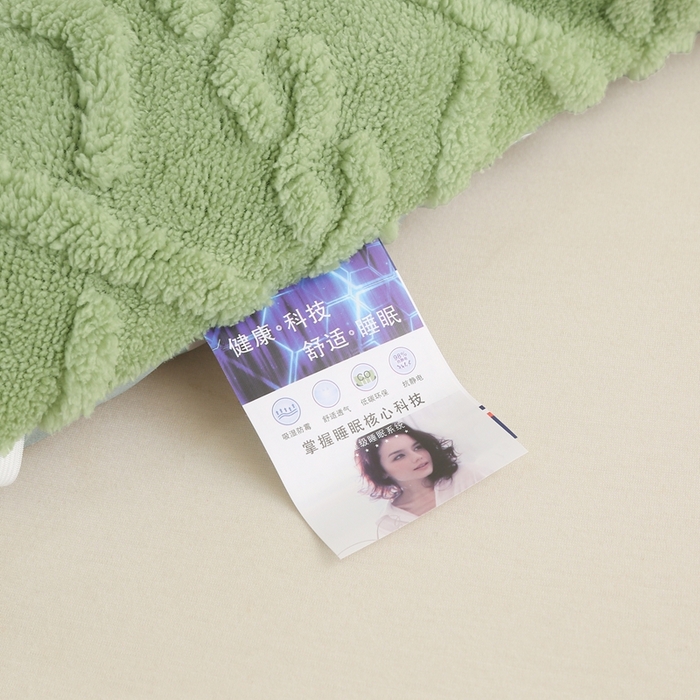 91家纺网 家纺一手货源 找家纺 承柔家纺 2025年新款加厚塔芙绒床垫床褥垫子 绿色