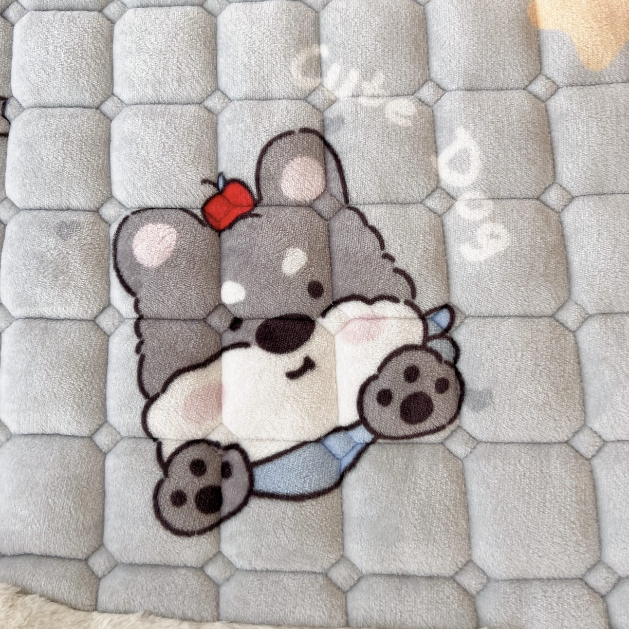 91家纺网 家纺一手货源 找家纺 喜居 2025新款印花牛奶绒夹棉床褥垫床垫子褥子 苹果雪纳瑞