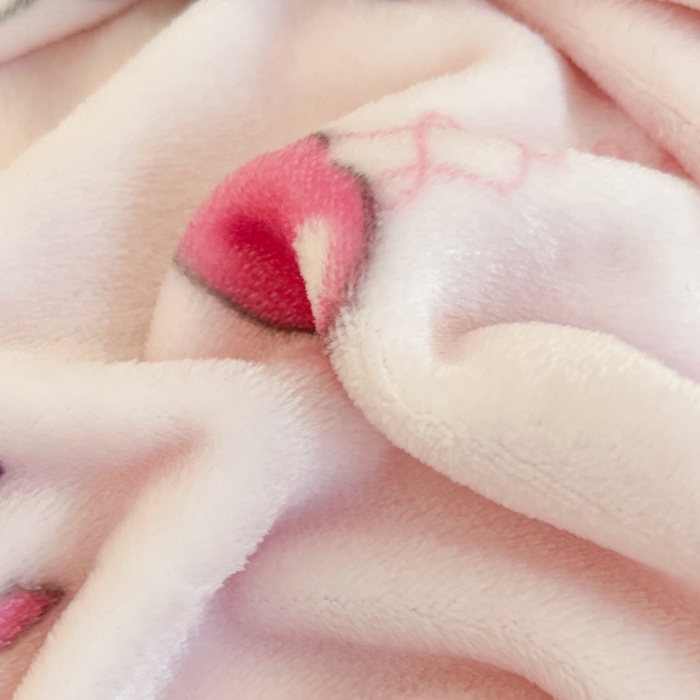 91家纺网 家纺一手货源 找家纺 妖妖家纺 2025新款正版三丽鸥双面印花牛奶绒多功能四季款毛毯空调毯 可爱玉桂狗