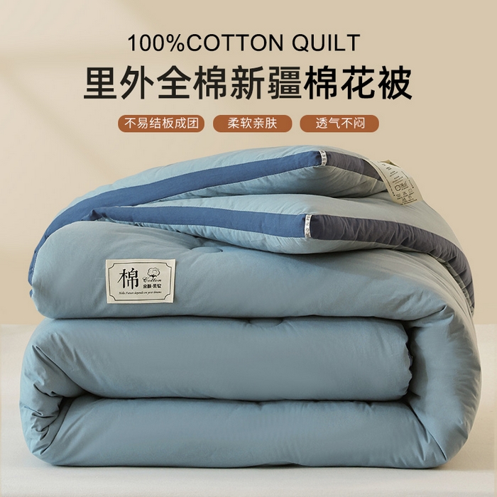 雯雨家纺 2025新款100%里外全棉纯棉新疆棉花被冬被被子被芯 全棉棉花被-绅士蓝