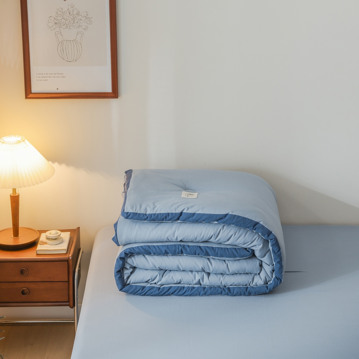 91家纺网 家纺一手货源 找家纺 雯雨家纺 2025新款里外全棉新疆棉花被被子被芯 轻奢蓝