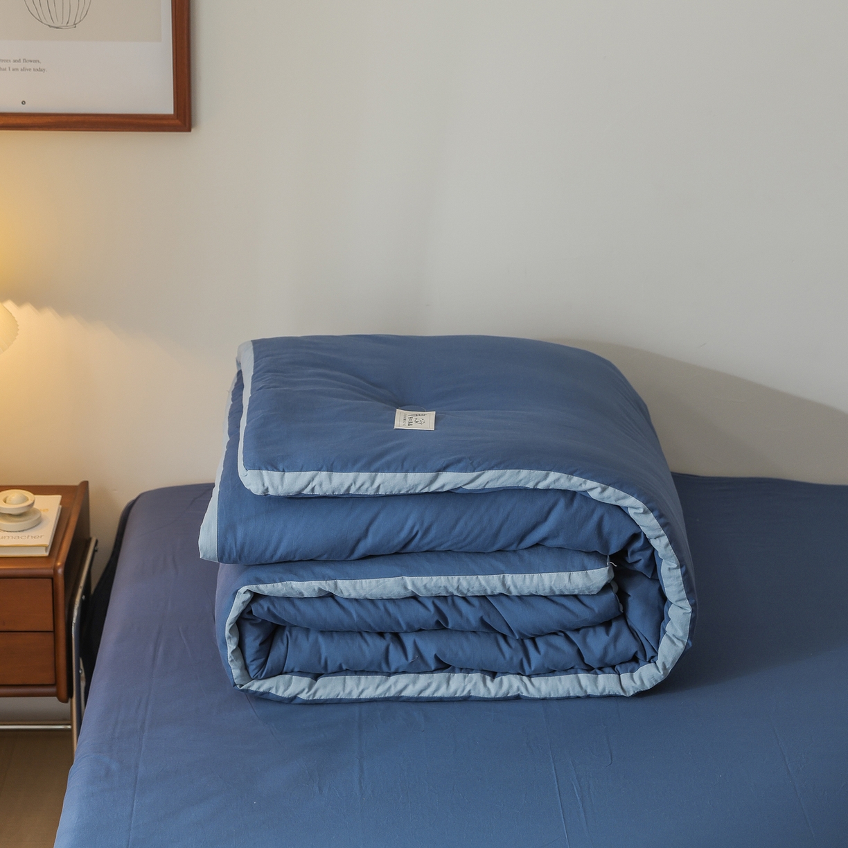 91家纺网 家纺一手货源 找家纺 雯雨家纺 2025新款里外全棉新疆棉花被被子被芯 深蓝