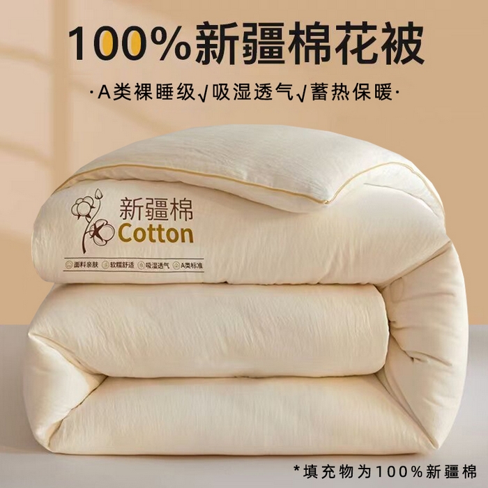 （总）锦逸家居 2025新款A类水洗棉100%新疆棉花被棉絮春秋被冬被被子被芯