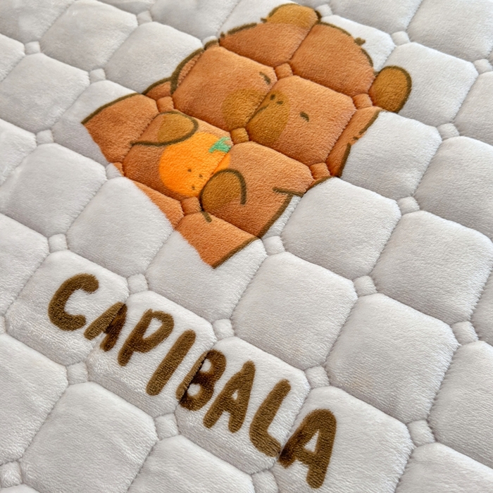 91家纺网 家纺一手货源 找家纺 雅萱家纺 2025新款牛奶绒夹棉印花床垫学生图 绒床垫-奶茶屯屯灰