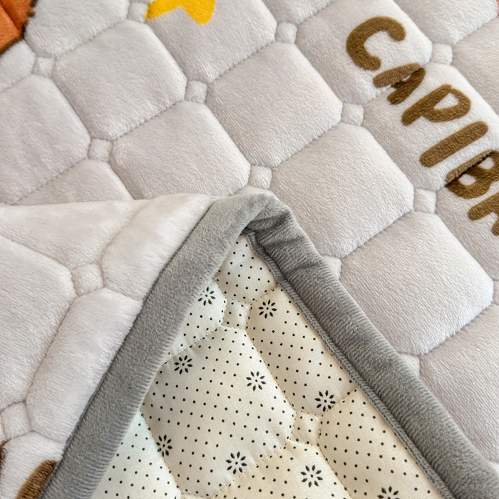 91家纺网 家纺一手货源 找家纺 雅萱家纺 2025新款牛奶绒夹棉印花床垫学生图 绒床垫-奶茶屯屯灰