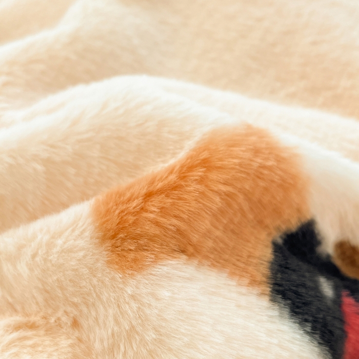 91家纺网 家纺一手货源 找家纺 雅居纺家纺 2025新款保暖舒适兔绒印花四件套 音乐腊肠狗