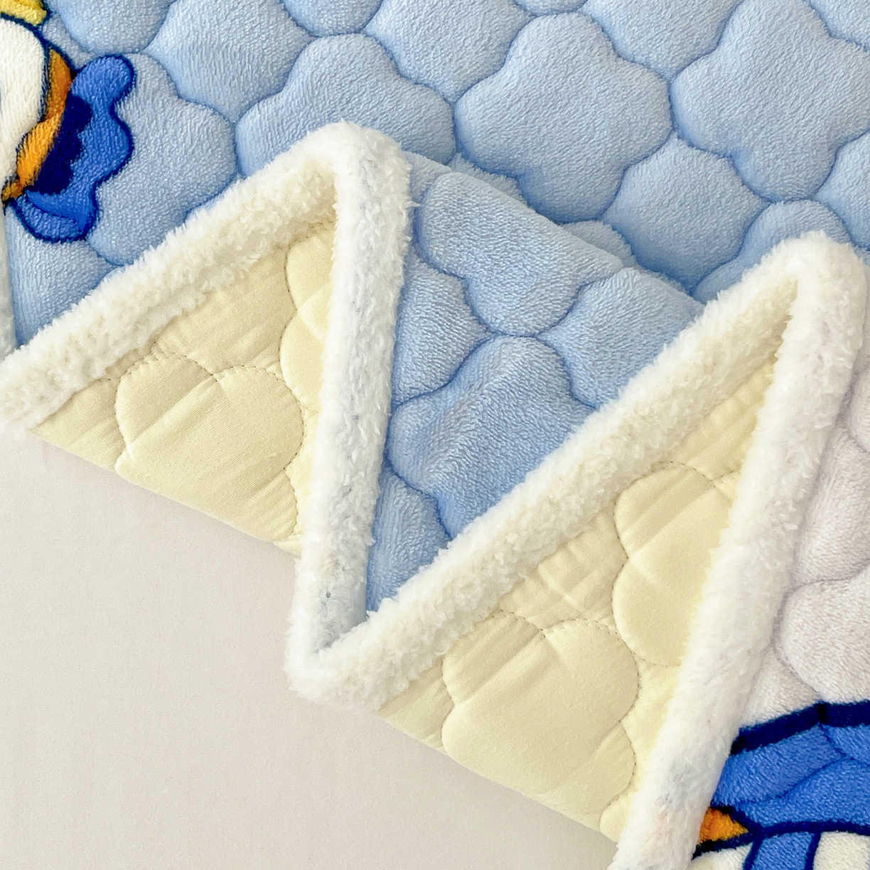 91家纺网 家纺一手货源 找家纺 （总）富馨莱 2025新款牛奶绒夹棉床垫床盖支持一件定制