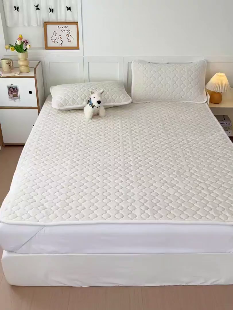 91家纺网 家纺一手货源 找家纺 富馨莱 2025新款牛奶绒夹棉床垫床盖支持一件定制 轻奢白