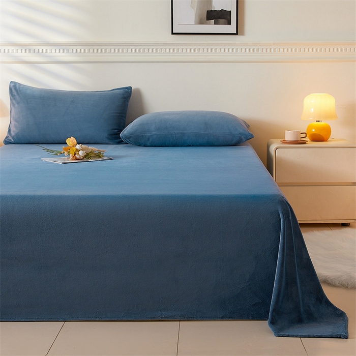 （总）盛秋 2025新款加厚牛奶绒床单纯色秋冬保暖枕套
