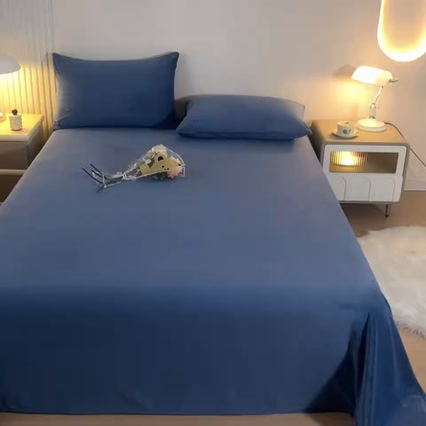 91家纺网 家纺一手货源 找家纺 （总）盛秋 2025新款加厚牛奶绒床单纯色秋冬保暖枕套