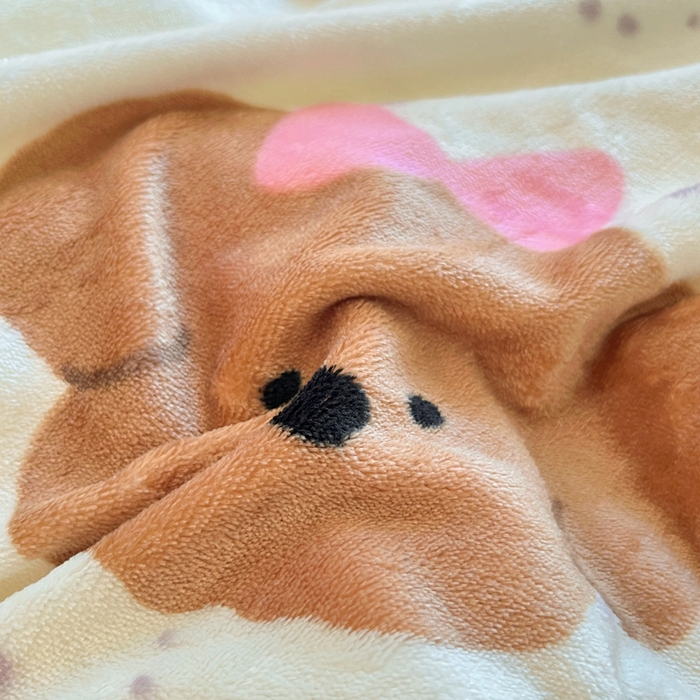 91家纺网 家纺一手货源 找家纺 川悦生活 2025新款高克重牛奶绒四件套-系列二 奶油噗妮-咖