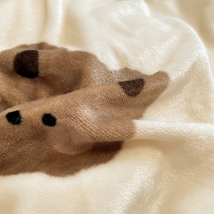 91家纺网 家纺一手货源 找家纺 川悦生活 2025新款高克重牛奶绒四件套-系列二 星际小熊