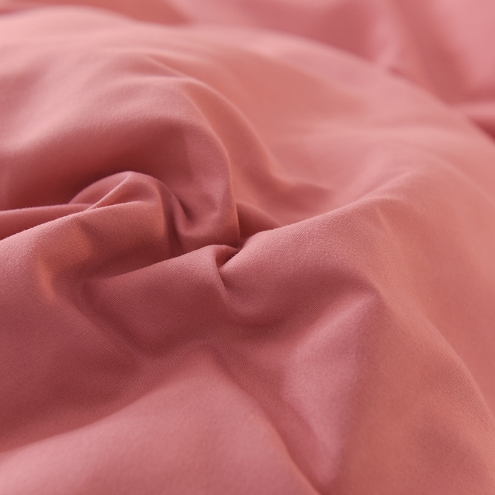 91家纺网 家纺一手货源 找家纺 后庭寝室 2025新款公主风亲肤磨毛蝴蝶结四件套-爱巢 爱巢-豆沙