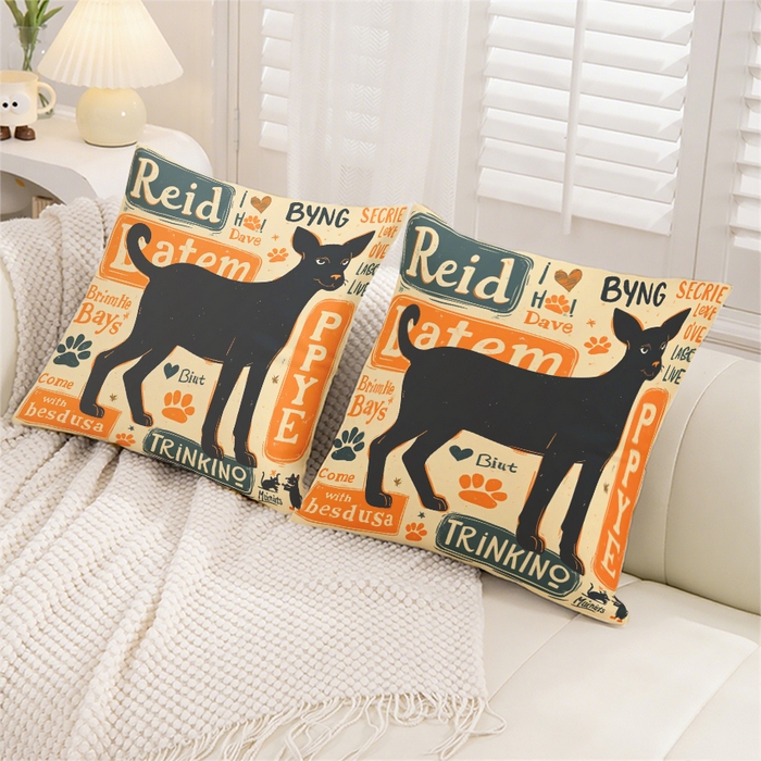 91家纺网 家纺一手货源 找家纺 合纵跨境工厂 2025新款一件定制跨境抱枕套代发shein亚马逊速卖通24小时内发货磨毛水晶绒材质-卡通主题抱枕套 1XM58261017