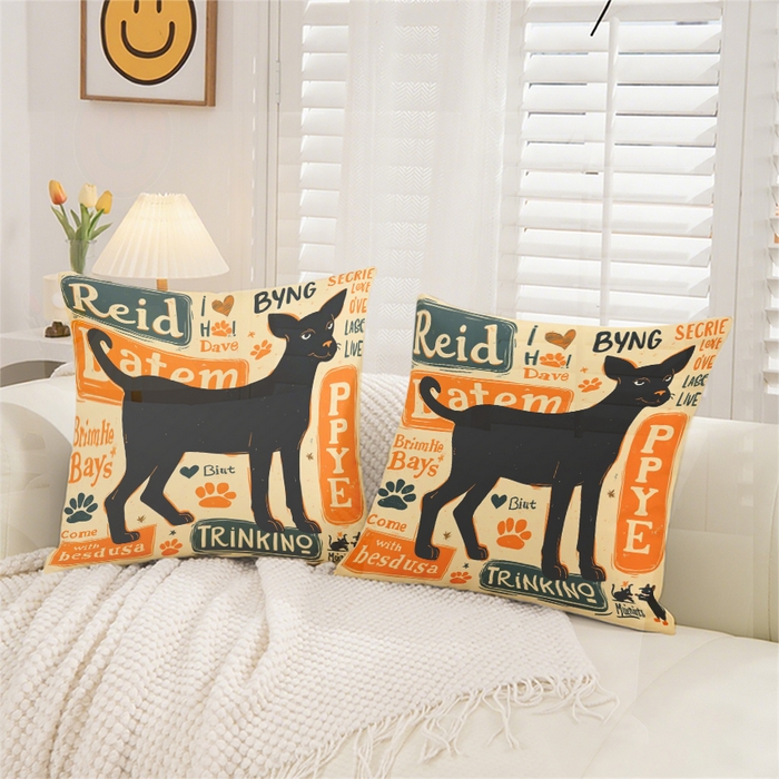 91家纺网 家纺一手货源 找家纺 合纵跨境工厂 2025新款一件定制跨境抱枕套代发shein亚马逊速卖通24小时内发货磨毛水晶绒材质-卡通主题抱枕套 1XM58261017