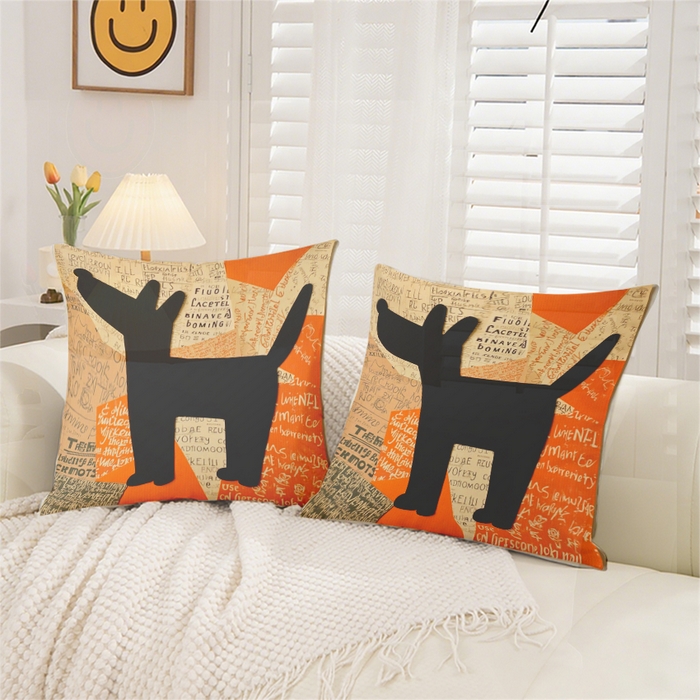 91家纺网 家纺一手货源 找家纺 合纵跨境工厂 2025新款一件定制跨境抱枕套代发shein亚马逊速卖通24小时内发货磨毛水晶绒材质-卡通主题抱枕套 1XM58261028